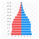 Infográfico da pirâmide populacional  Ícone