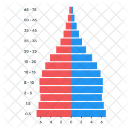 Infográfico da pirâmide populacional  Ícone