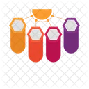Diagram Option Infographic Icon