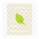 Ecologie Plante Feuille Icône
