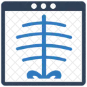 Informe de rayos x  Icon