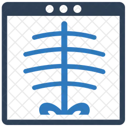 Informe de rayos x  Icono