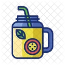 Infuse Water Food Drink Icon