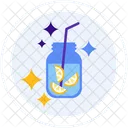 Infuse Water Fruit Healthy Icon