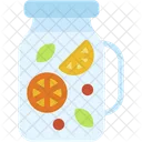Infused Water Drink Bottle Icon