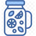 Infused Water Drink Bottle Icon