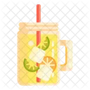Infused Water Icon