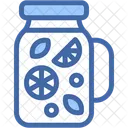 Infused Water Drink Bottle Icon