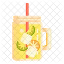 Infused water  Icon