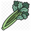 Ingredient Vegetable Celery Icon