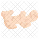 Gemuse Ballaststoffe Lebensmittel Symbol