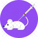 Injection Testing Rat Testing Animal Icon