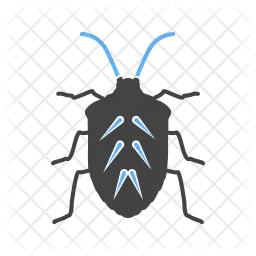 Insect  Icon