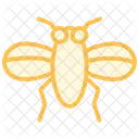 Insect Color Outline Icon Icon