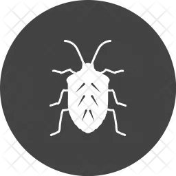 Insect  Icon