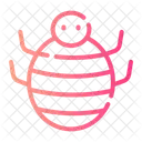 Insects Wildlife Bug Icon