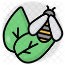 Insect Bee Cicada Icon