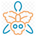 Insect Icon Graphic Icon