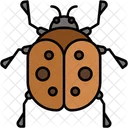 Insect Arthropod Animal Kingdom Icon