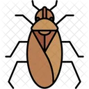 Insect Tiny Animal Kingdom Icon
