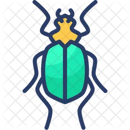 Insect  Icon