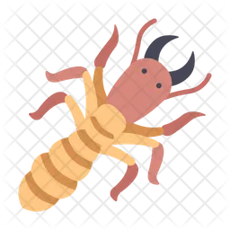 Insect  Icon