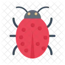 Insect Ladybird Biology Icon