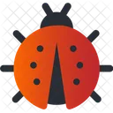 Insect Bug Spring Icon
