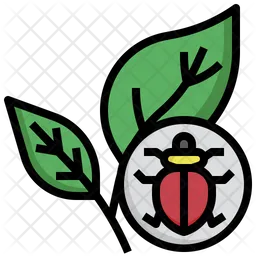 Insect  Icon