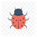 Insect Biology Ladybug Icon