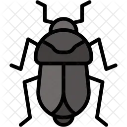 Insect  Icon