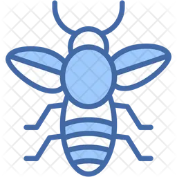 Insect  Icon