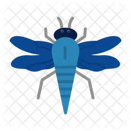 Insect  Icon