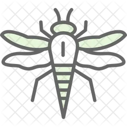 Insect  Icon