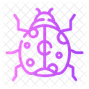 Insect Animal Kingdom Zoology Icon