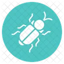 Insect Bug Animal Icon