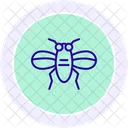 Insect Black Outline Icon Icon