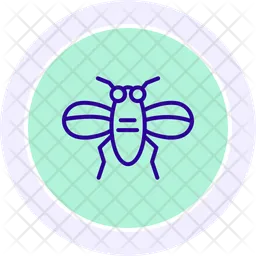 Insect  Icon