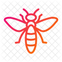 Insect Bug Entomology Icon