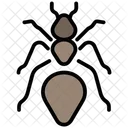 Insect  Icon