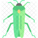Insect Winged Animal Kingdom Icon