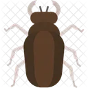 Insect Small Animal Kingdom Icon