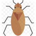 Insect Tiny Animal Kingdom Icon