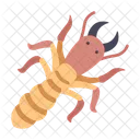 Insect Termite Wood Icon