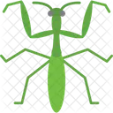 Bug Fly Insect Icon