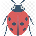 Fly Insect Bee Icon