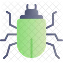 Spring Season Insect Icon