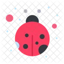 Insect  Icon
