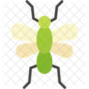 Insect  アイコン