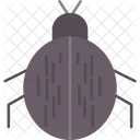 Insect  Symbol